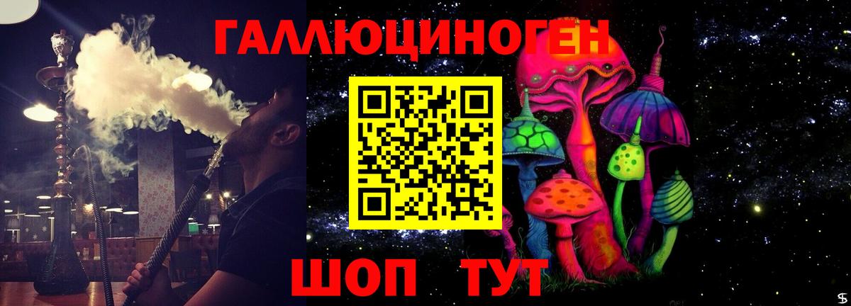Салехард  Галлюциногенные грибы прущие грибы  Вход с VPN 