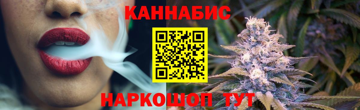 Канабис сатива Салехард